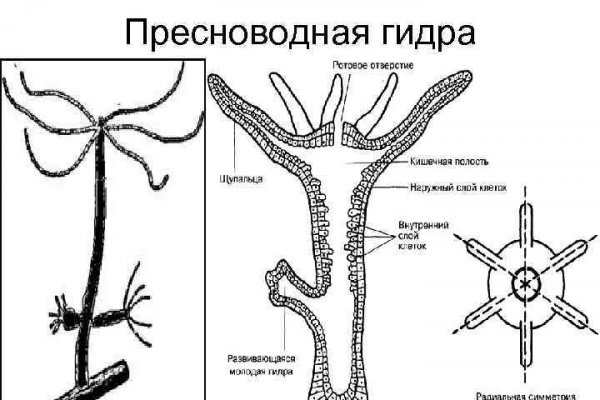 Kraken сайт анонимных