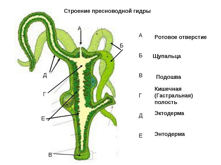 Kraken новая ссылка